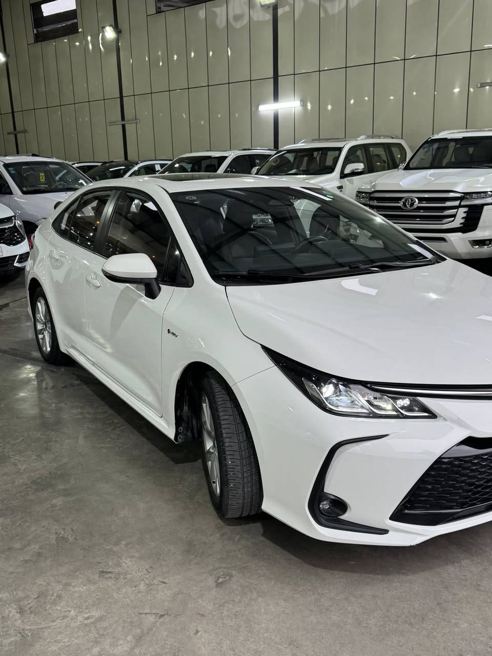 السلام عليكم
كورلا 2025 الشكل الخليجي
ماشية 7 الاف
كشن كهرباء سلايد
بصمة
جلد
رادار
مكان السيارة معارض البياع
السعر 24 مليون
الرقم ***********
