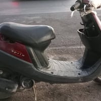 بطة • شغالة • سلف