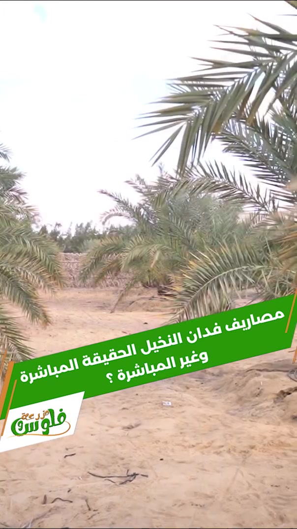 فرصة استثمار حقيقية في نخيل المجدول 🌴🔥
امتلك أرضك بعائد مضمون وتقسيط مريح 👌
التفاصيل واتساب 📩:01034490598
https://wa.me/01034490598


**إذا كنت صاحب هذا الإعلان وتريد حذفه لأي سبب، رجاءا أرسل رسالة إلى الدعم الفني**