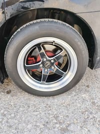 ويل وايلد • حجم ١٨ • أصلي