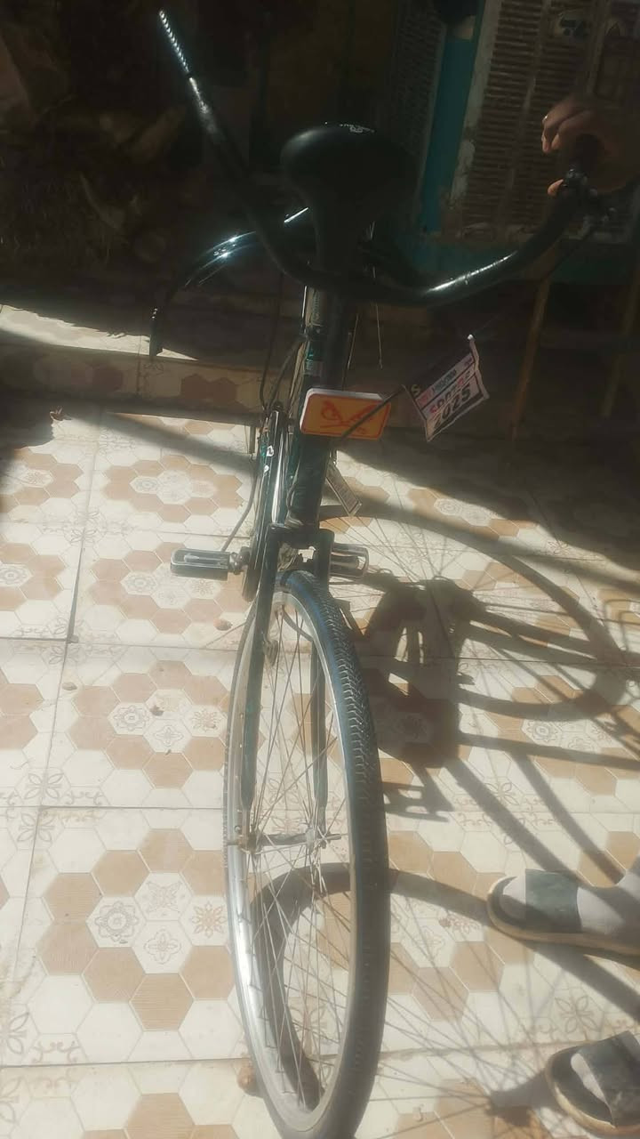 البيع كلمن وسعره الشراي يتفضل خاص المكان الديوانيه


**إذا كنت صاحب هذا الإعلان وتريد حذفه لأي سبب، رجاءا أرسل رسالة إلى الدعم الفني**