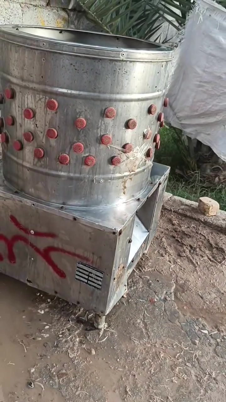 سلام عليكم هلاسه دجاج  نضيفه البيع
سعره 250 الشراي يتصل مكاني سيد خيل ‏‪‪0781 427 4521‬‬‏
