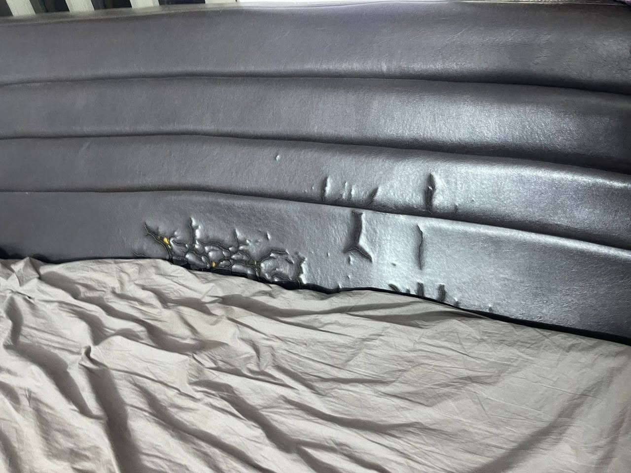 من رخصة لادمن كلشي مابيه بس جلد غرفة ٨ قطع سعر ٣٣٠ شراي يراسلني واتساب ام رحمه لو بغداد ***********
