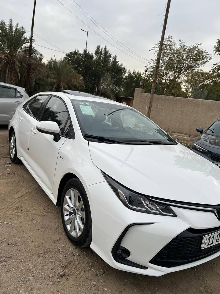 مراوس فقط …….. فورتي ٢٣/٢٤ بغداد حصرا
كورلا هايبرد ٢٥ كفاله بحاله الزيرو 
مكاني بغداد 
***********
