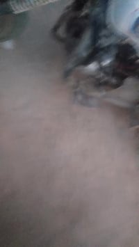 ستوته • موديل 14 • اريدو