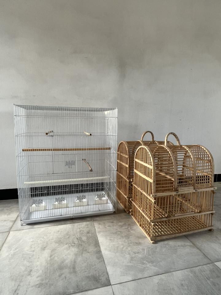 قفص الكبير 30وبي مجال وأقفاص البلابل 18وبي مجال ***********مستخدم نضيف اخو الجديد
