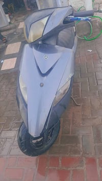 ماكس ثعلب • نكرا • الدورة