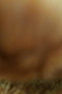 النجف الاشرف • حي لانصار • 26 ياباني