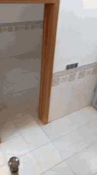 لايجار....لايجار...
بيت ٥٠م طابق واحد مدخلين يتكون من ستقبال وغرفه نوم خلف جامعه فريحه مجمع ذلفقار السكني 
ايجار ٢٠٠ الف قفل 
***********
