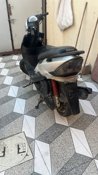 ماكس عدله • فول • وكيل