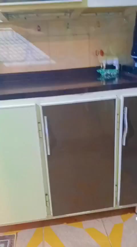 كاونتر 4قطع تفصال مو جاهز كل ضرر مابية عنوان بغداد كريعات


**إذا كنت صاحب هذا الإعلان وتريد حذفه لأي سبب، رجاءا أرسل رسالة إلى الدعم الفني**