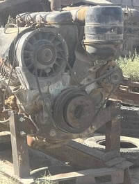 دويز • خنزير • بكاني بابل