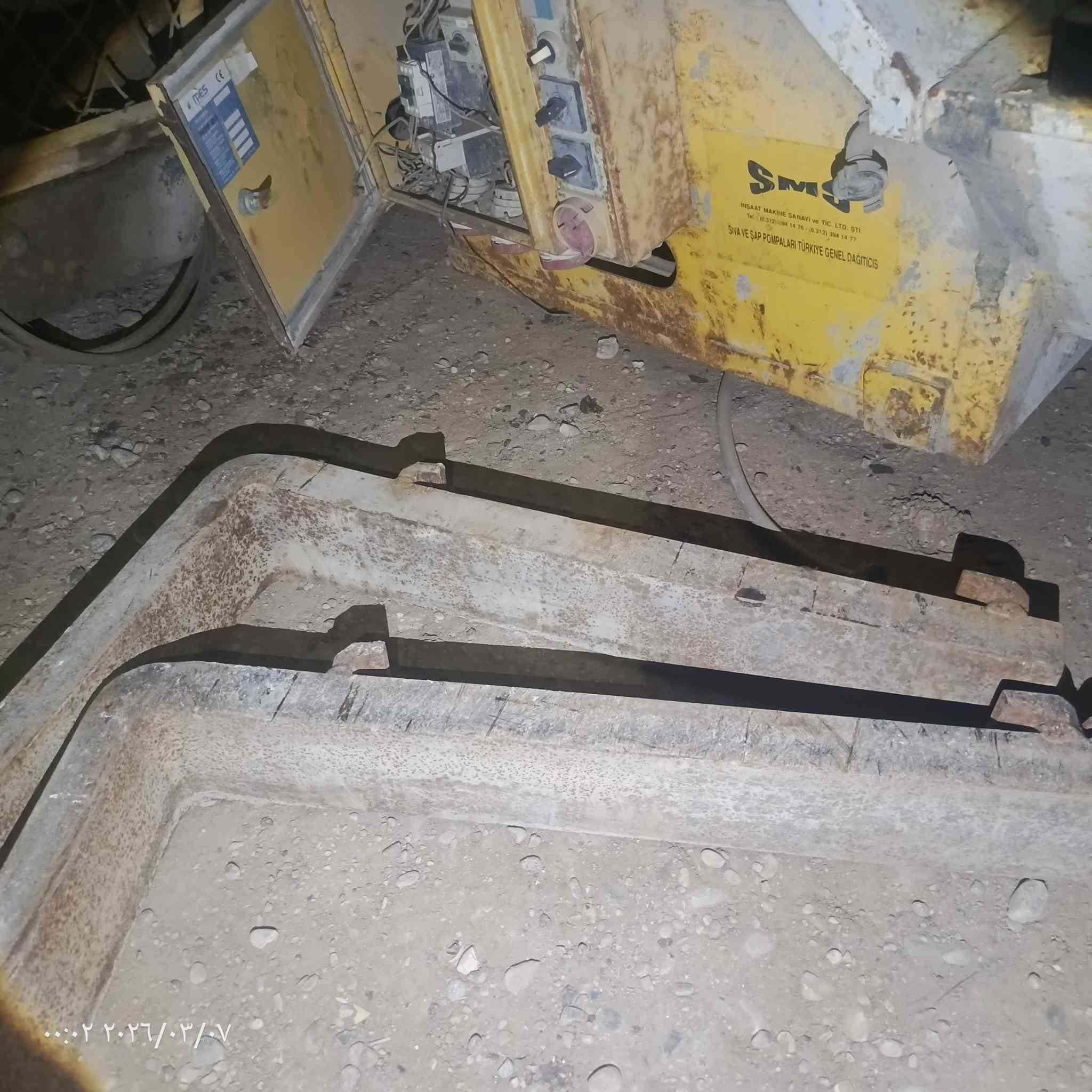 سنون شوكي لبيع ***********
