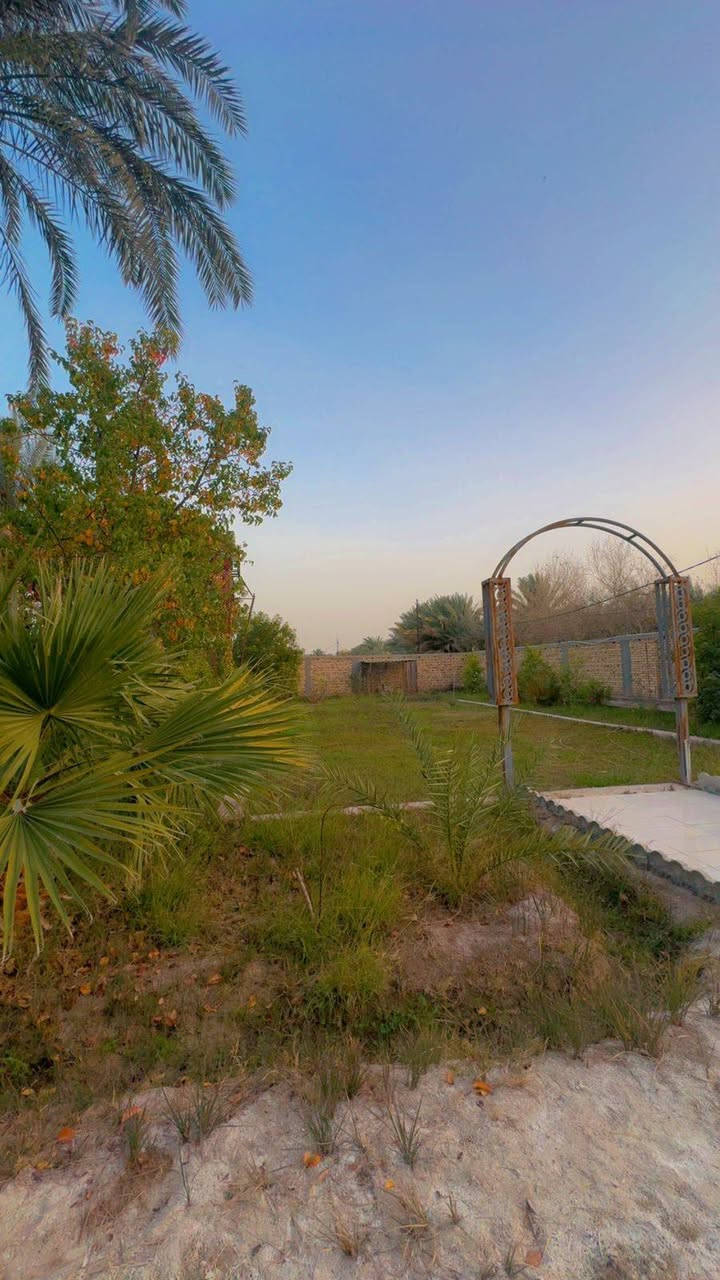 مزرعة متكاملة تحتوي على بيت هيكل  العنوان طريق السنيه بعد معمل الالبان قريبه عن الشارع العام 
قرب عشيرة الحمران المساحه 4000 
السعر 250  للإستفسار ***********
.
