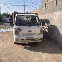 بدون راعي • شاصيه • طاك