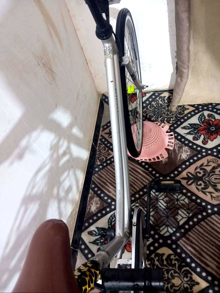 👋🏽.
باسكل- شركة فورماج -  مديل 17.- للبيع او مراوس
مكـان ناصريـة آسكان - شراي يجي خاص..*


**إذا كنت صاحب هذا الإعلان وتريد حذفه لأي سبب، رجاءا أرسل رسالة إلى الدعم الفني**