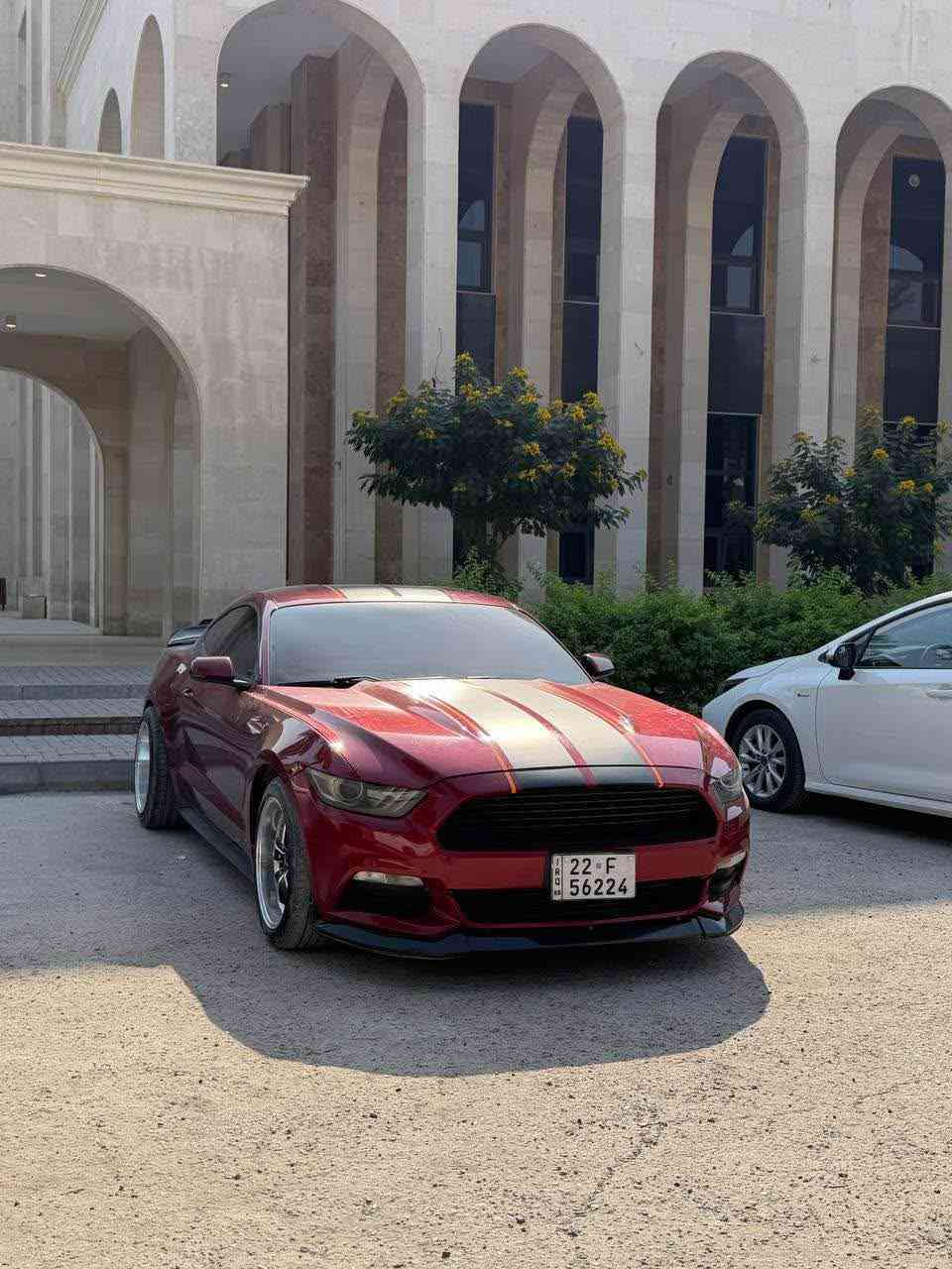 موستنك 2017 للبيع V6 .. 3700 او مراوس بسياره 4 بوب
مواصفاته معروفه محاجه احجي بيها 
حادثها 3 قطع جهة السايق فقط 
بدون شواصي بدون لغود (ايرباك فقط سقف ) والسقف مبدل سقف روز رايز ..✨
ماشيه السياره 89 مايل ..
السياره كلشي بيها جديد .. 
السياره مملعوب بيها من ناحية صوت لو برمجه عليها برمجه فقط مراوح .. 
السياره حجر بلادي بيها .. ✨
*********** بغداد, العراق
