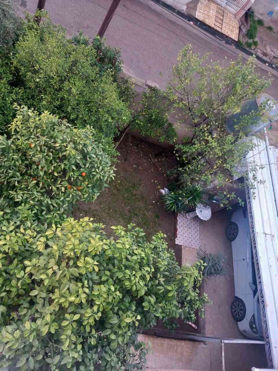 السلام عليكم دار للبيع في حي الوحدة قرب مجسر الميثاق وجامع المحسن مساحة الدار ٢٣٤متر يتكون الدار الطابق الاول استقبال ومطبخ وهول وغرفتين نوم وصحيات
الطابق الثاني اربع غرف نوم وصحيات وبلكونة قريب من كل وسائل النقل والخدمات من اسواق ومولات البيت محدث سنة ٢٠١٩  للاستفسار الاتصال 
***********
او مراسلة الصفحة
