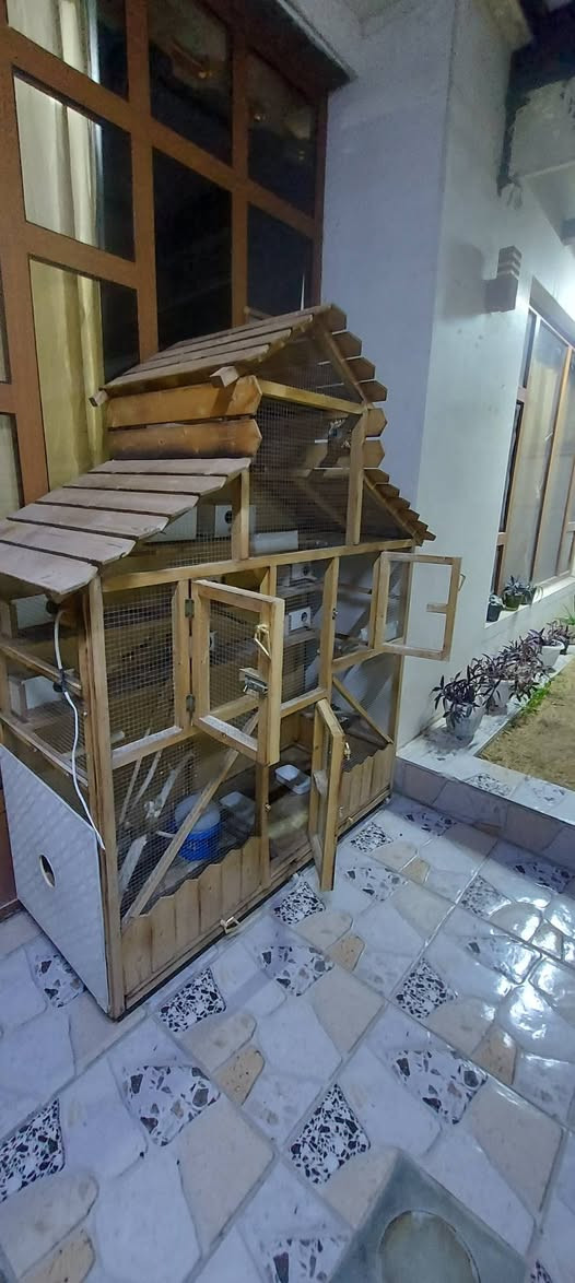 قفص خشب ياباني نضيف
الارتفاع 2 متر 
العرض 1.5 متر
 النزال 90 سانتيم
 السعر 200 الف 
التواصل واتساب  ***********
