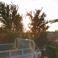 أرض زراعية للبيع في منطقة هادئة وجميلة، تحتوي على نخيل وبعض النباتات ا...