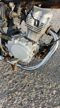 نضيفه • بدون اوراق • المجر الكبير