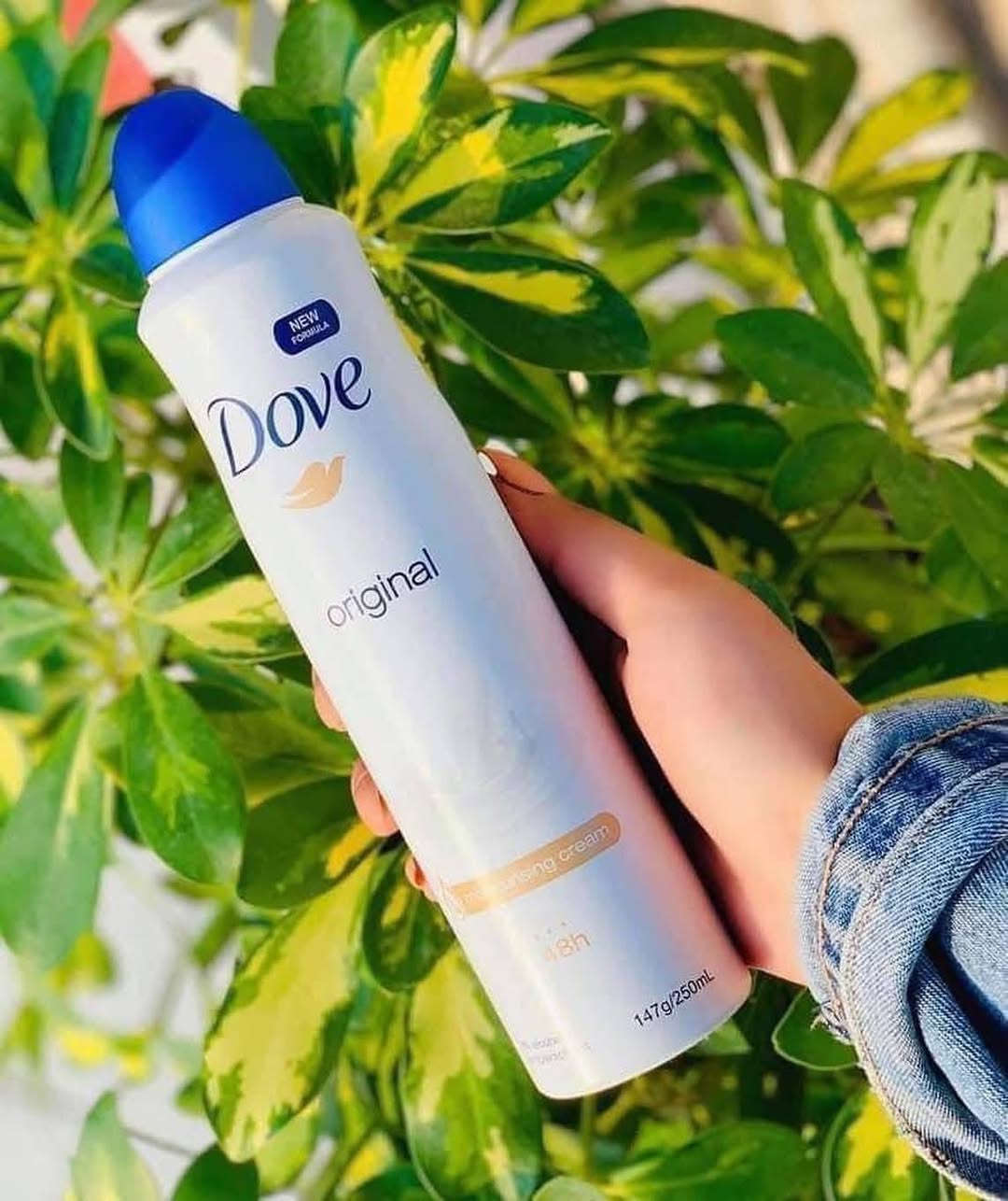 معطر جسم من دوف DOVE  🤍

 معطر الجسم من دوف يزيل رائحة التعرق  ،وحماية مضادة للتعرق حتى 48 ساعة😍 

يحتوي على باودر ومواد رطبة تقلل من تهيج البشرة بعد الحلاقة خالي من الكحول😊

توجد لدينا خدمة توصيل 🚗🚗


**إذا كنت صاحب هذا الإعلان وتريد حذفه لأي سبب، رجاءا أرسل رسالة إلى الدعم الفني**