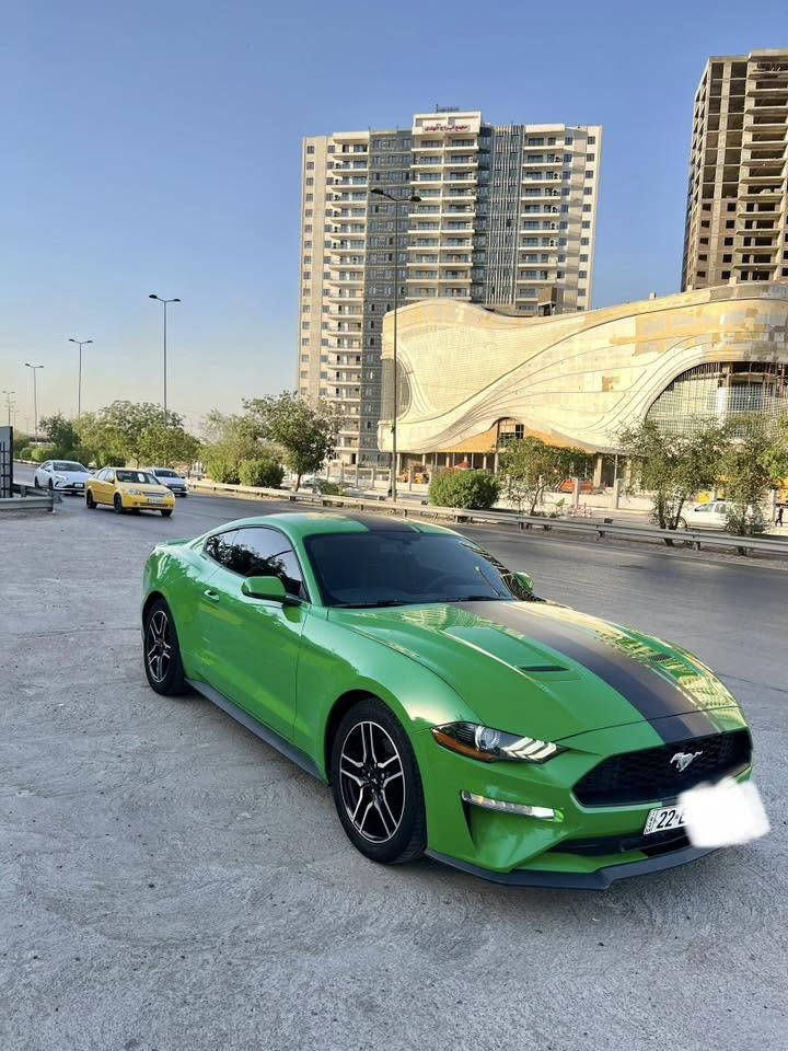 سلام عليكم حبايب للبيع اومراوس موستنك موديل 2019 ورد امريكي حادثه كلش خفيف ربع جاملغ وربع البنيد الدعاميه نفسها بدون دواخل مكينه اربعه سلندر ايكو بوست بريميوم فول موصفات كراسي كهرباء كراسي جلد خزن كرسي سائق كراسي تدفئه تبريد دشبول دجتل اناره داخليه متغيره رادرات جانبيه  لون تفاحي بلاد 🍏🍏 رقم اربيل شرط تحويل مكاني بغداد حي تونس لاستفسار ***********

