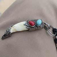 سن الذيب • اصلي • مفتوح