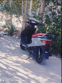 مراوس • مكفولة • نجف