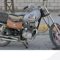 جني • بدون اوراق • موديل 18