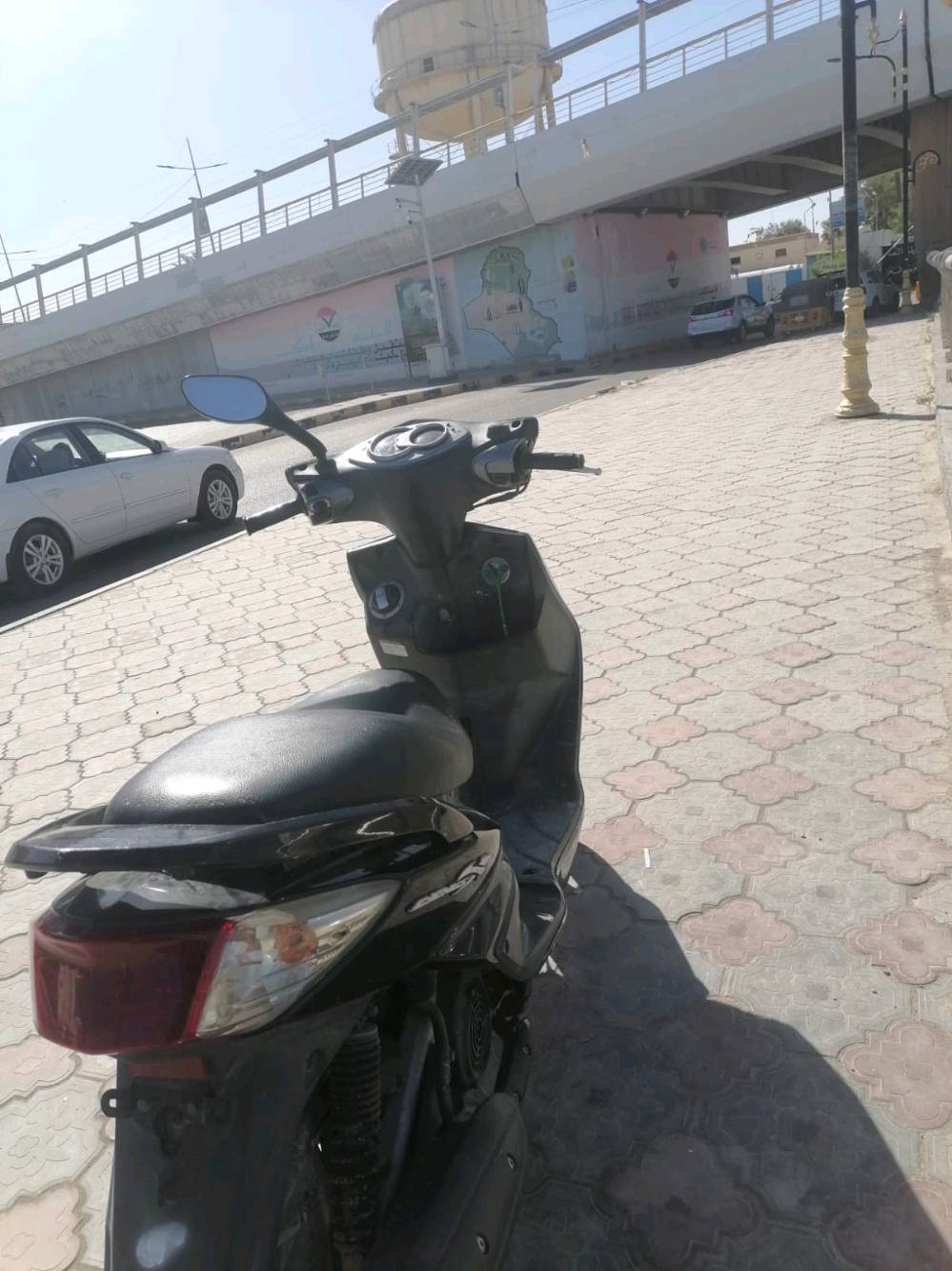 سكنس فحل ياباني نوزل  عنوان عماره حي النداء 