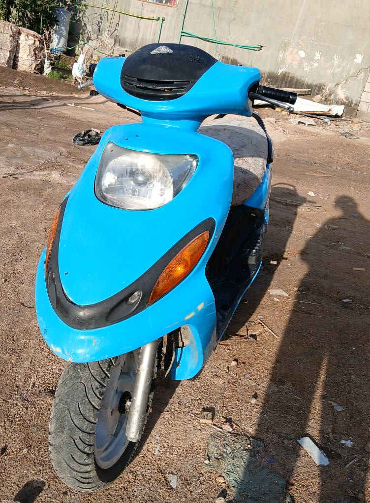 دراجه دولفين لبيع مكاني ديوانية قضاء الشاميه 
*********** كوفة, النجف
