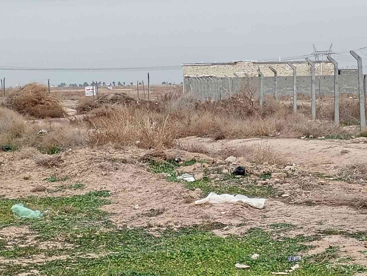 سلام عليكم دوانم للبيع طابو سند 25 مكان بغداد سبع قصور نهاية شارع ابو علي مجاور ثعالبه يوجد عل شارع 40 وخلف الشارع دوانم مربعه الواجهه 40 بناء مفتوح موقع حلو تبعد عل تبليط 30 متر ماء كهرباء متوفره مسيجات وكاملات الشراي ينتصل واتساب موجود غير متواجد عل فيس أرقام الهواتف *********** وشراي ينتصل ***********
