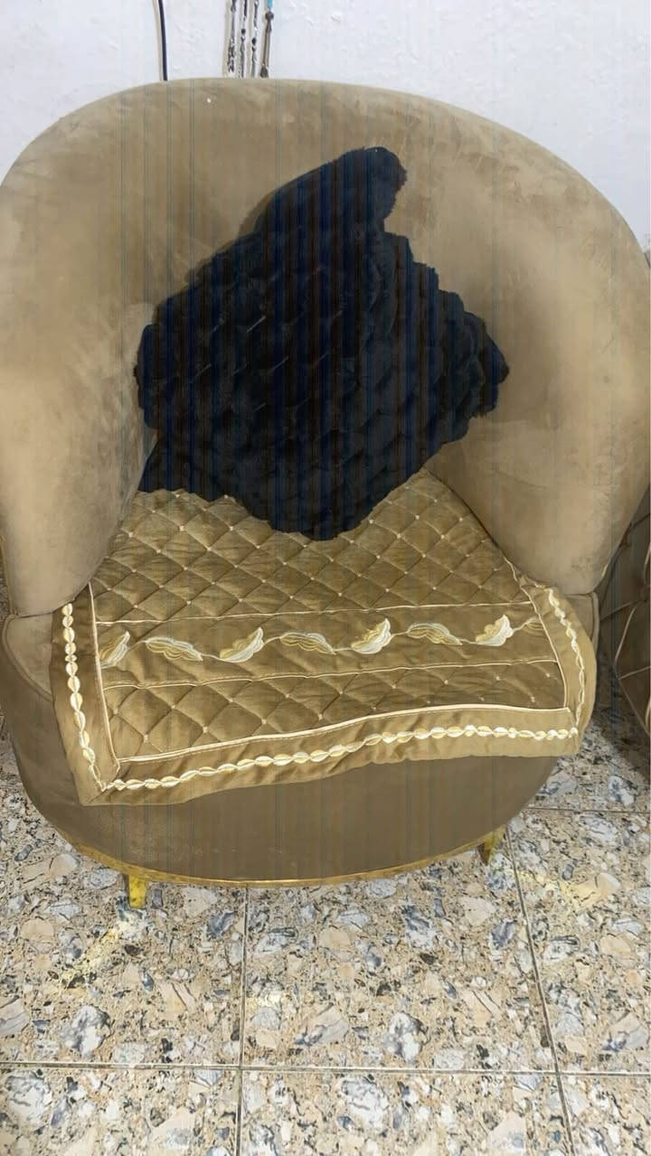 تخم نضيف ما صارلة شهرين عدنة ومستعجلين على بيعتة سعرة 550 وبي مجال Colombo, Sri Lanka


**إذا كنت صاحب هذا الإعلان وتريد حذفه لأي سبب، رجاءا أرسل رسالة إلى الدعم الفني**