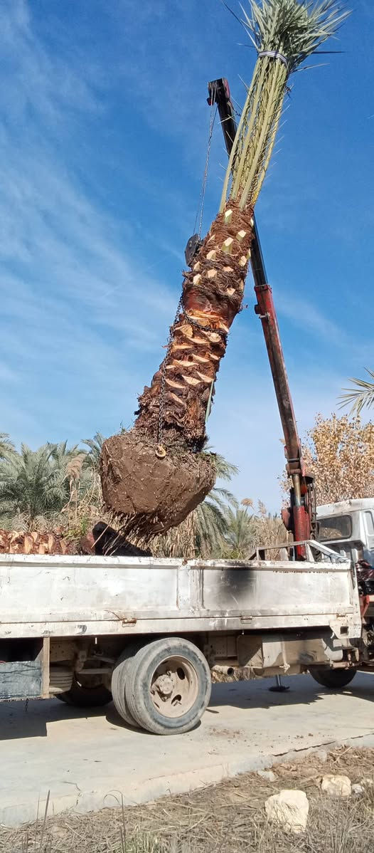 ياالله السلام عليكم
تتوفر امايات ملون احجام حسب الطلب
اليرقب بشراء عنوان واسط الصويره 
***********///***********@
