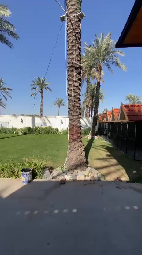 سلام عليكم ورحمه الله وبركاته اخواني الاعزاء مزرعه للبيع كاله من كلشي مكان بغداد  فلكت سلمان باك شارع سيد علي شراي يتصل أو خاص *********** طابو ملك مساحه دونم
