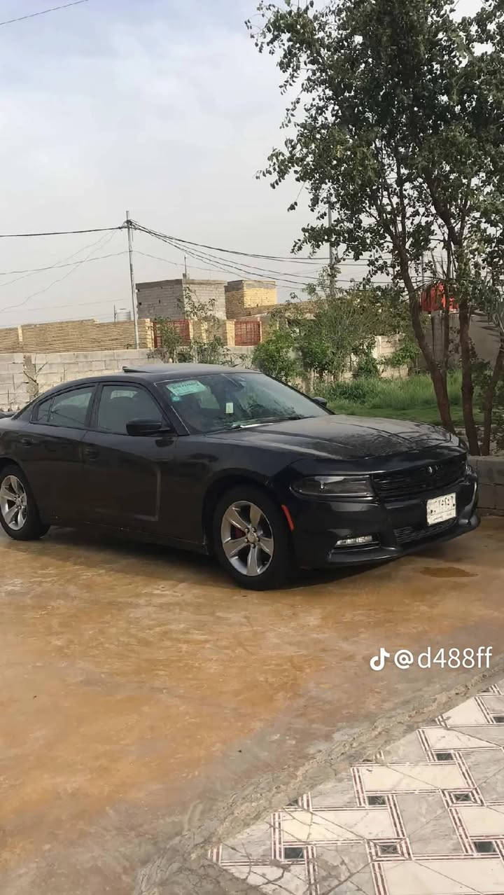 السلام عليكم جاجر البيع وارد امريكي موديل 2015 سيارة فول واحد عل واحد بصمة فتحة كشنات تدفئة تبريد حادث مرفق بلمنشور مكان بابل رقم بغداد لاستفسار ***********
