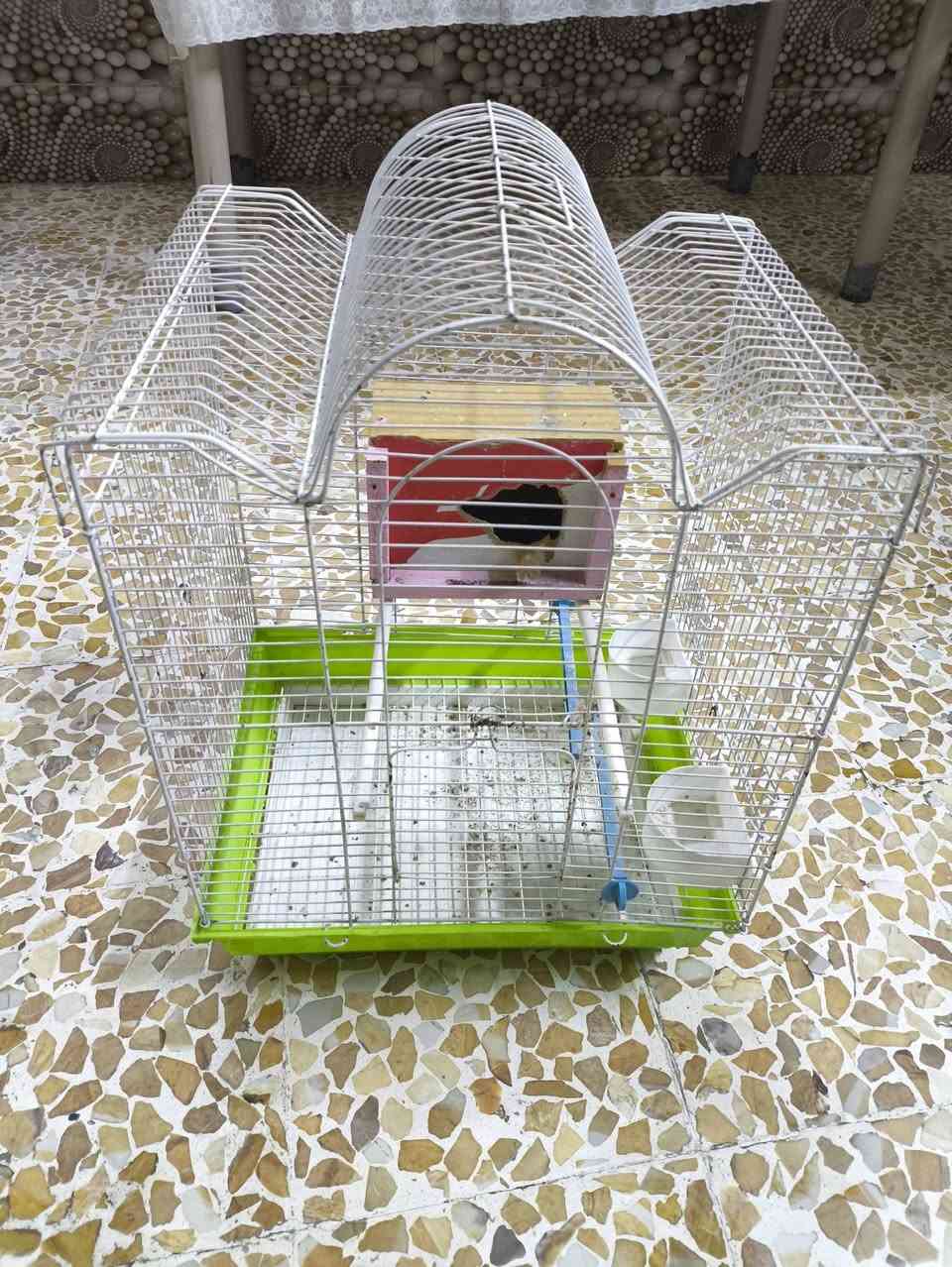 قفص حديد للبيع


**إذا كنت صاحب هذا الإعلان وتريد حذفه لأي سبب، رجاءا أرسل رسالة إلى الدعم الفني**