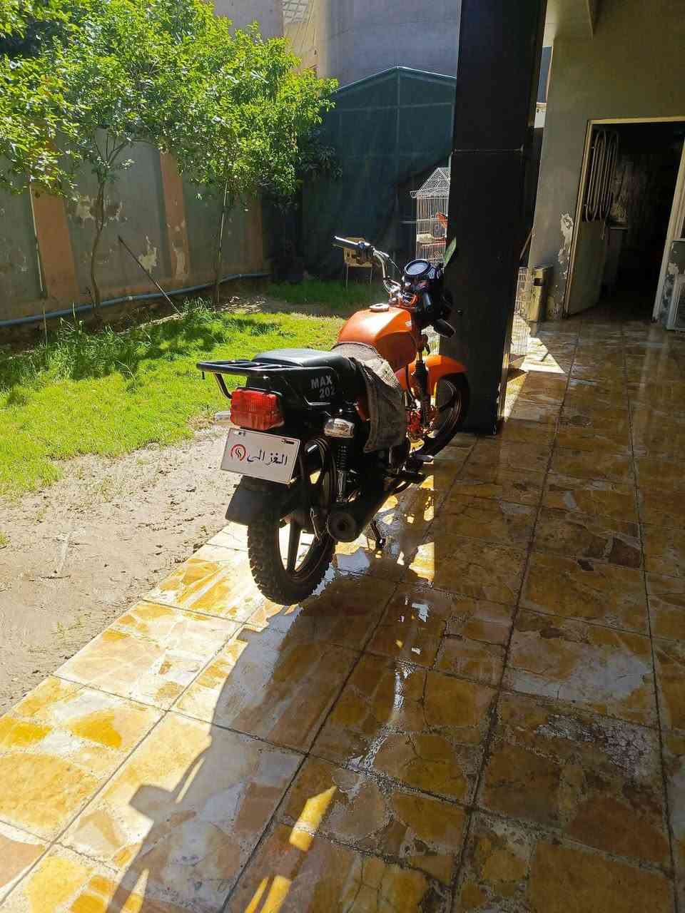 السلام عليكم السعر داخل المنشور


**إذا كنت صاحب هذا الإعلان وتريد حذفه لأي سبب، رجاءا أرسل رسالة إلى الدعم الفني**