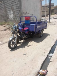 ستوته • ٢٠٢٣ • مكفوله