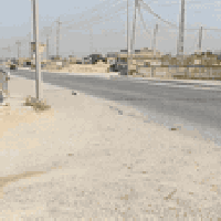 كربلاء الزبيليه • ١٨٠٠م • لواء علي الاكبر