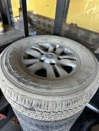 ويل • تخم جديد • ٢٨٥/٦٥/١٧