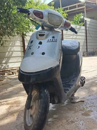 بطه • رصاصي • شغال