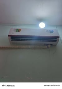 سبلت • باردة • عاطله