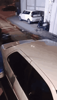 سلام عليكم بيجو 306  رقم بغداد بلاد مابيه اي صبغ فقط الدعاميه الاماميه والخلفيه تحتاج صبغ تبريد   محرك كير خير من الله  
بدلت قبل يومين صدر وكلج وعينه كامله بيه ملاحضات جدا بسيطه مثل ماموضح امامكم مكاني البياع السعر 47 بيه مجال جدا بسيط تحويل ثاني  *********** يوجد واتساب ايضا
