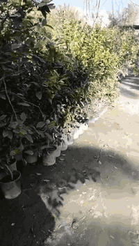 الاتصال***********
