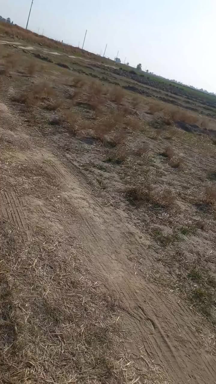 كاع للبيع طابو زراعي ١٠ دونم سند٢٥ ثريمه مقابيل العمارات السكنيه ماء كهرباء وشراي بيه خير ويدلل تصال ***********
