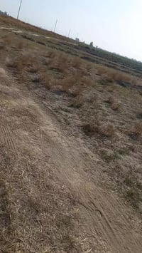 ثريمه • ١٠ دونم • طابو زراعي