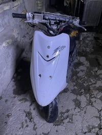 عصفورية • ٦٠ • دهن