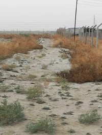 النزله الأولى قرب برج الانترنت • ١٠٠٠م • قابل تقسيم